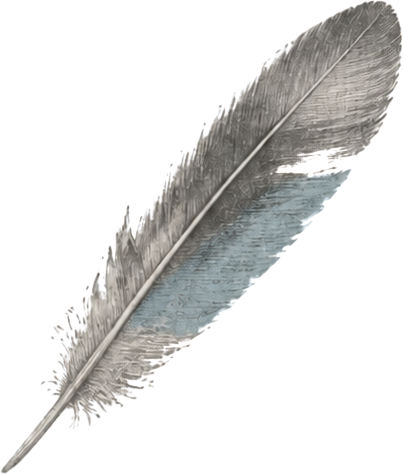 A graphite feather whose lower barbs are printed in pale cyan-blue